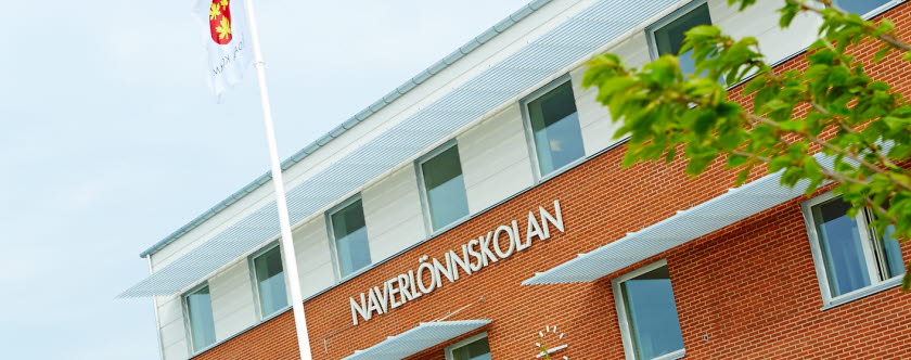 Grundskola Svedala kommun